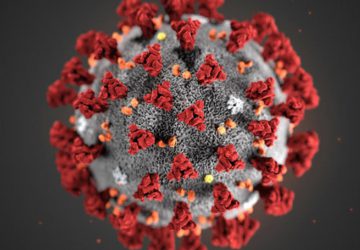 Privacy Cannot Be a Casualty of the Coronavirus