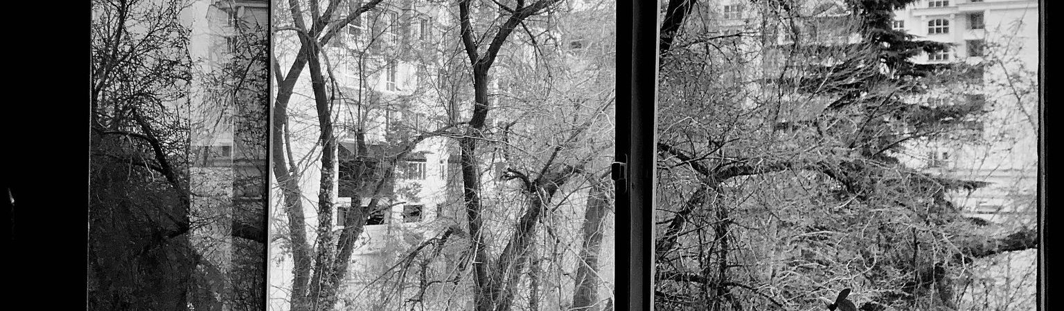 The World’s Great Photographers, Many Stuck Inside, Have Snapped