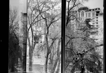 The World’s Great Photographers, Many Stuck Inside, Have Snapped